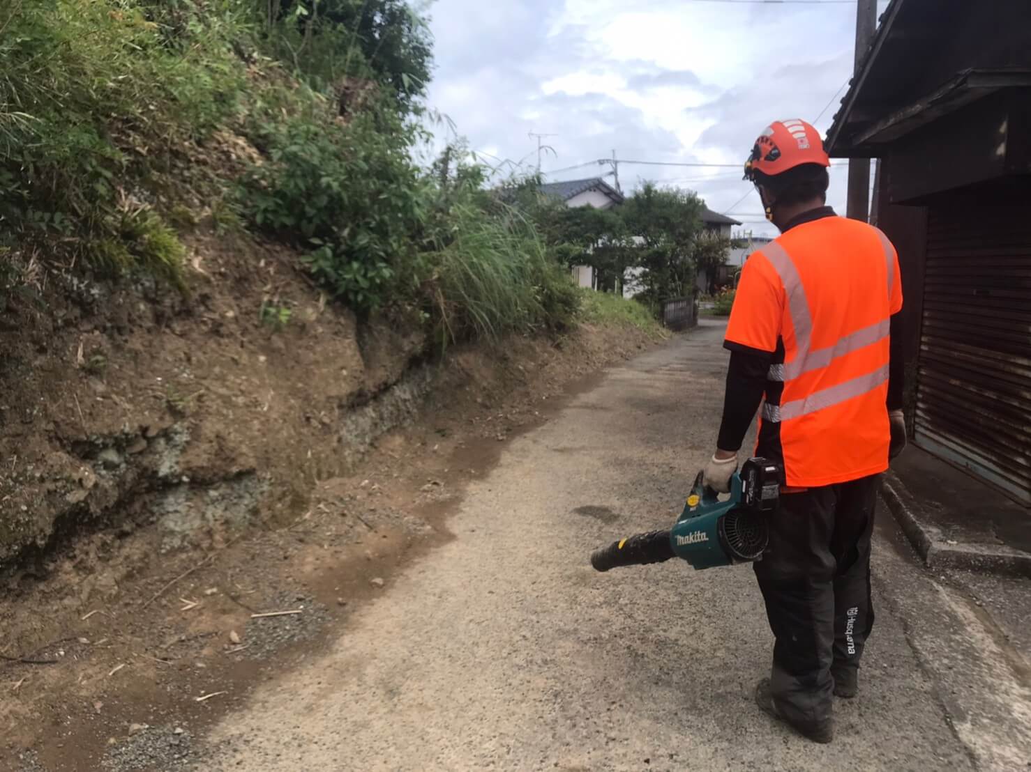 道路に落ちた葉っぱや小さな枝を掃除しながら、幹の切り戻しを行い作業は無事完了！